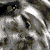 :iconking-joe:
