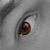 :iconking-of-clowns: