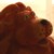 :iconking7nothing: