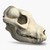 :iconkinganimal: