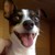 :iconkingarthur83: