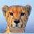 :iconkingcheetah: