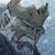 :iconkingdaphnesofhyrule: