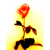 :iconkingdomforakiss: