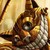 :iconkingdomofcandles: