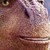 :iconkingkell12: