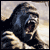 :iconkingkongkalle:
