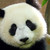 :iconkingman2012: