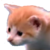 :iconkingman3355: