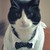 KingMicool :iconkingmicool: