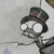 :iconkingofpigs101: