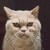 :iconkingovsand: