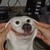 :iconkingplr2: