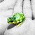 :iconkingpricey: