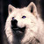 :iconkingpurple: