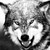 :iconkingsatyricon: