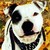 :iconkingstonrey: