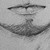 :iconkinicawolf: