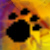 :iconkinito666: