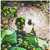 :iconkinkyphotog: