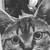 :iconkinok97: