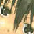 :iconkinoyuagain: