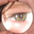 :iconkinseybird:
