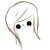 :iconkinshou-aoi-mitsukai: