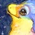 :iconkinuca: