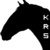 :iconkinvarars: