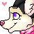 :iconkio-gal: