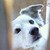 :iconkipcha234: