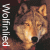 :iconkipchawolf: