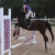 :iconkipsofacto: