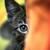 :iconkira-22: