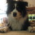 :iconkira-june: