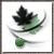 :iconkira-tollan: