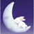 Kira-Usagi :iconkira-usagi: