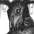 :iconkira108: