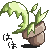:iconkira1919:
