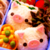 :iconkirahime:
