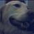 :iconkiraleanfushiko:
