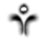 :iconkiramadeus: