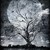 :iconkirame-shirayuki:
