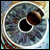:iconKiray-Fire: