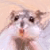 :iconkirbydood: