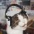 :iconkirbyqueen123: