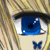 :iconkirei-na-chou:
