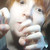 :iconkirhatake: