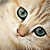 :iconkiri-chan125: